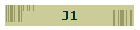 J1